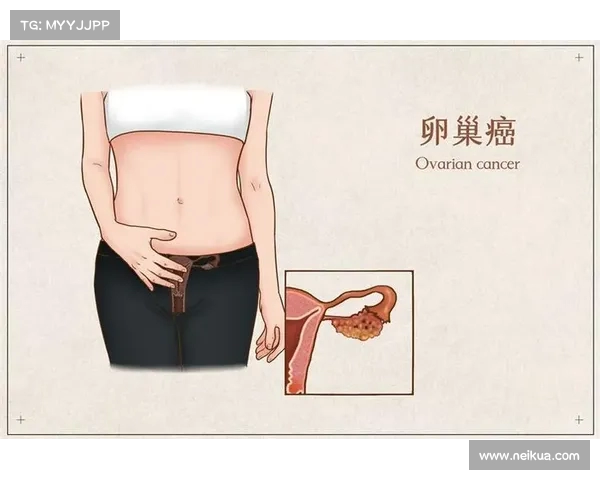 腰部组织在人体健康中的重要性与现代医学研究的进展分析 腰部组织在人体健康中的重要性与现代医学研究的进展分析